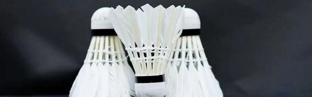 B体育-羽毛球价格涨疯了！背后推手竟是猪肉？